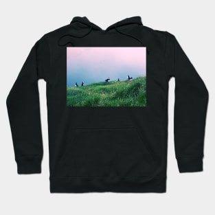 Puffins of Mykines Hoodie